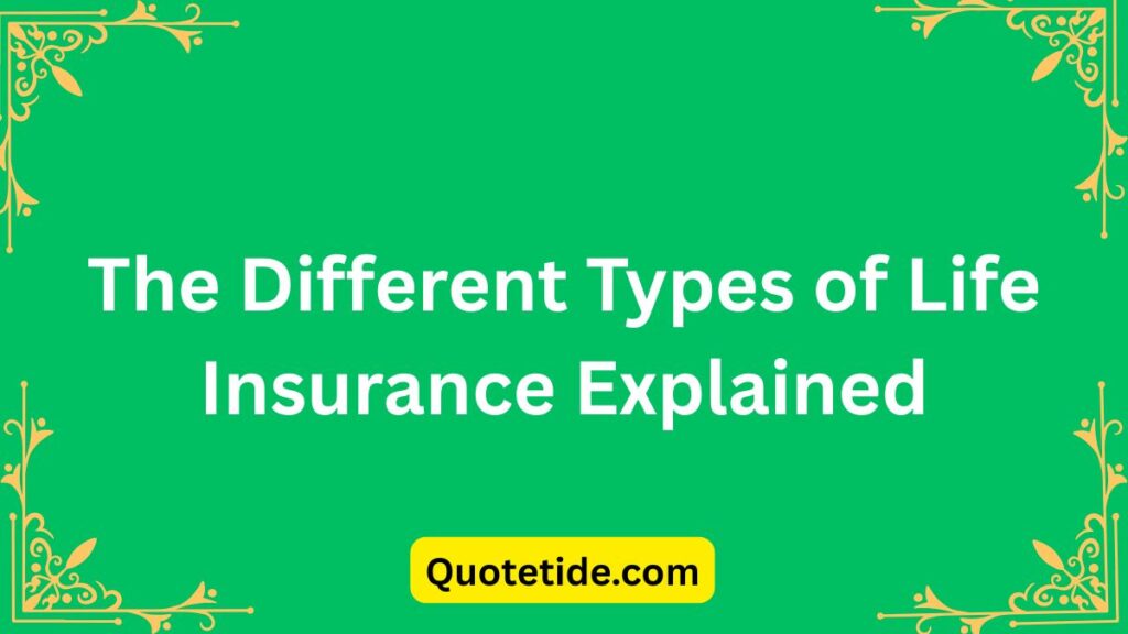 Best Quotes on Life Insurance (Safety First!)